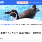鳥羽水族館、ラッコ配信の飼育係にモザイク処理へ カスハラ被害で